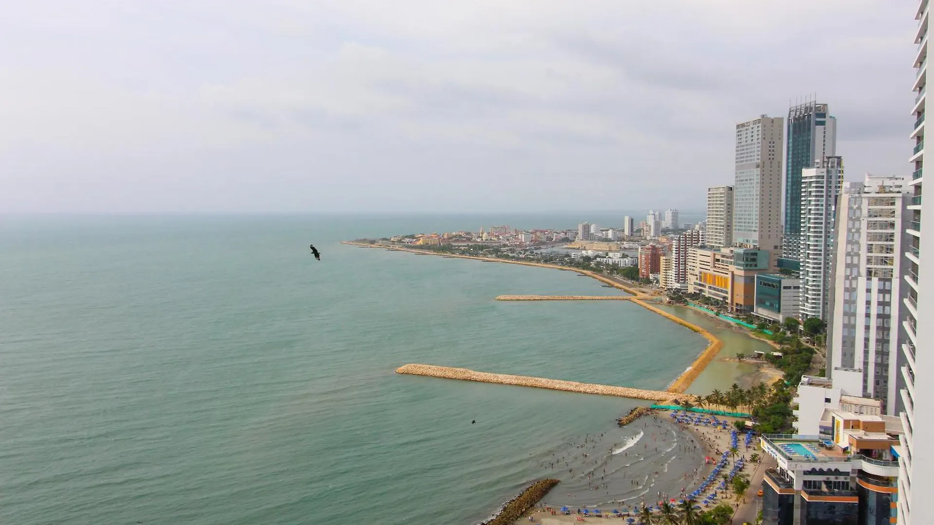 Apartamentos Palmetto - Frente Al Mar Cartagena