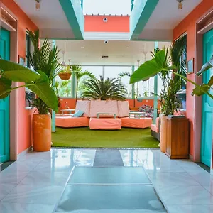 book here