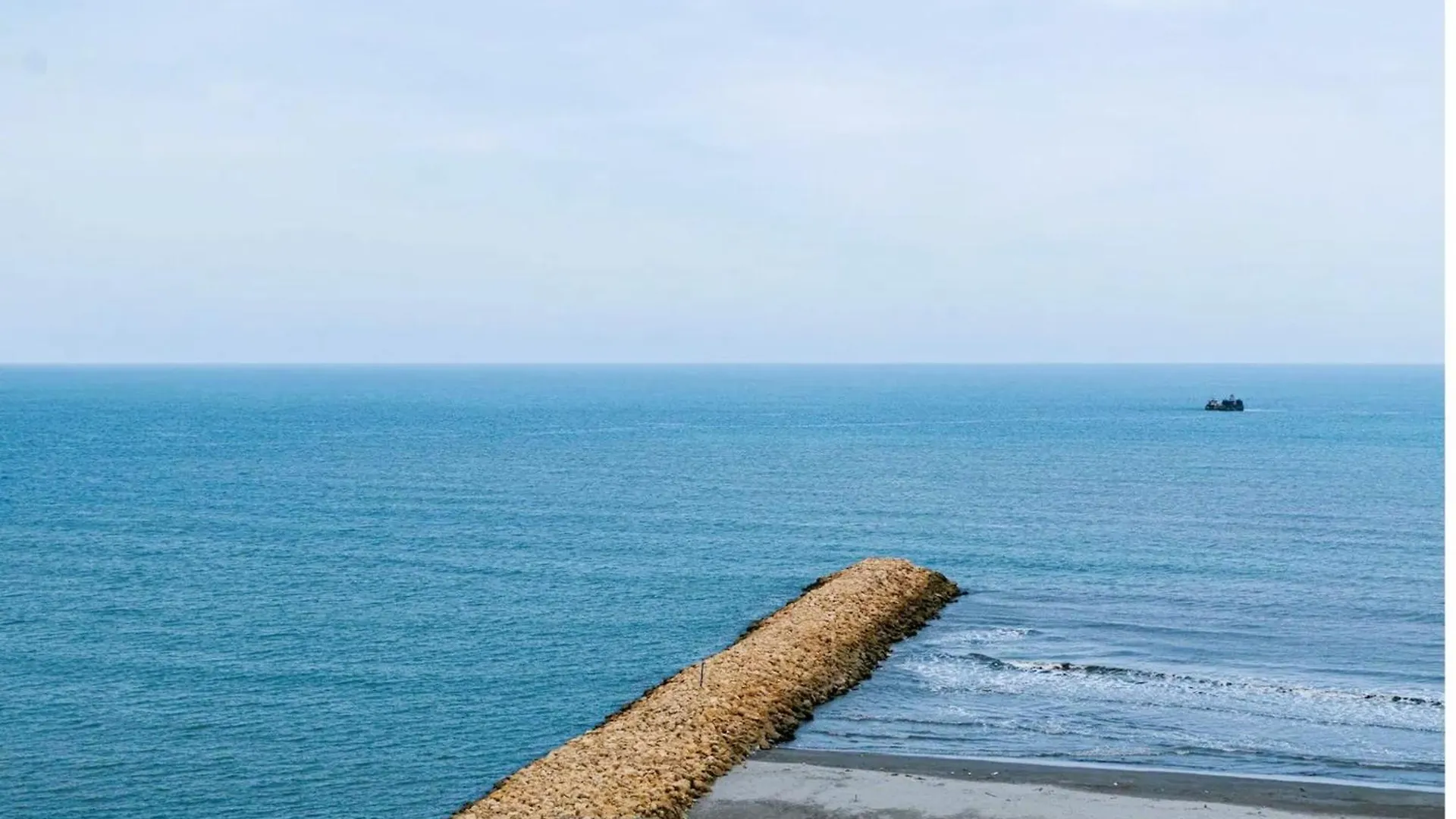 公寓式酒店 Apartamentos Palmetto - Frente Al Mar Cartagena